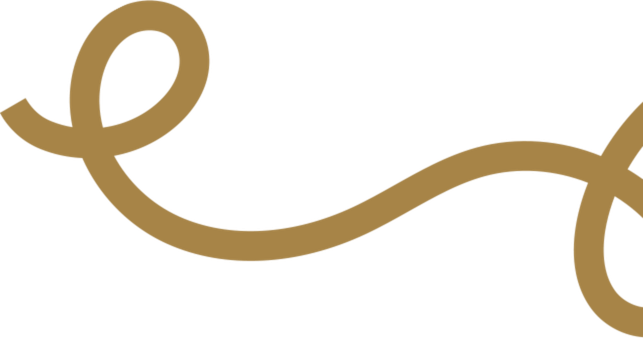 Untitled design (23)