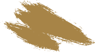 Untitled design (24)