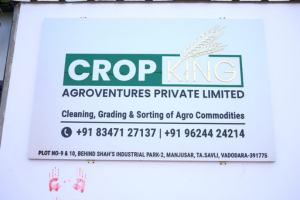 Untitled design (31)