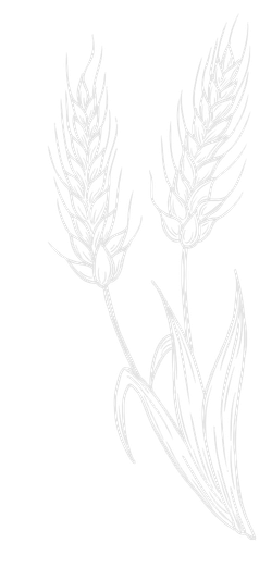 Your paragraph text (1)