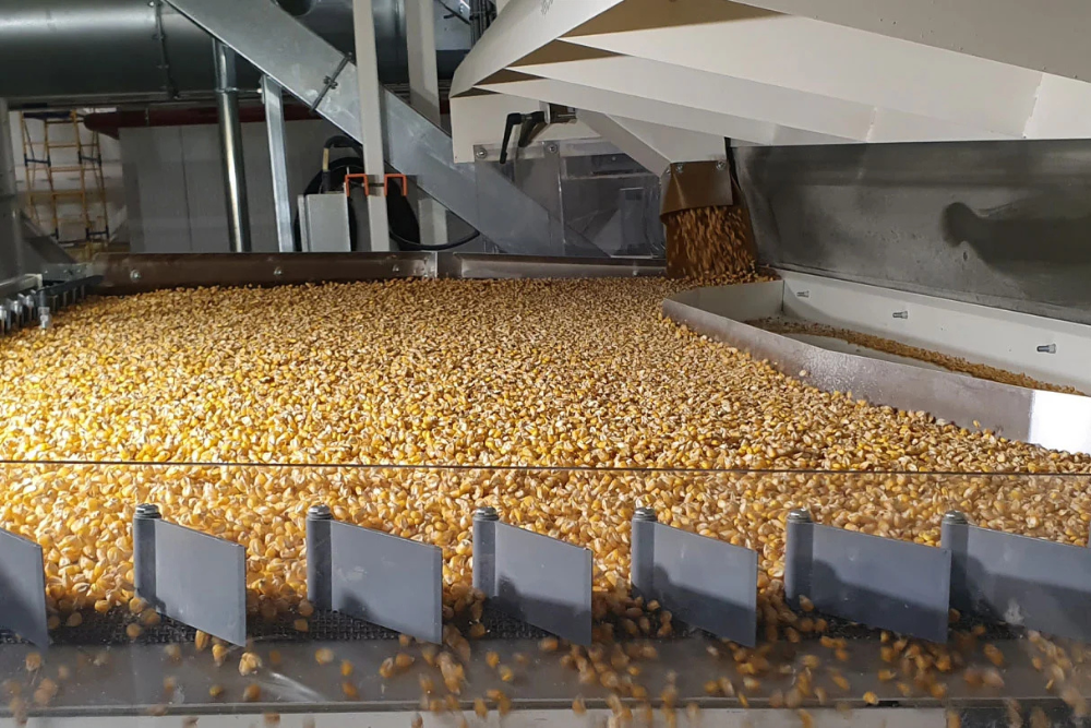 Untitled design (32)