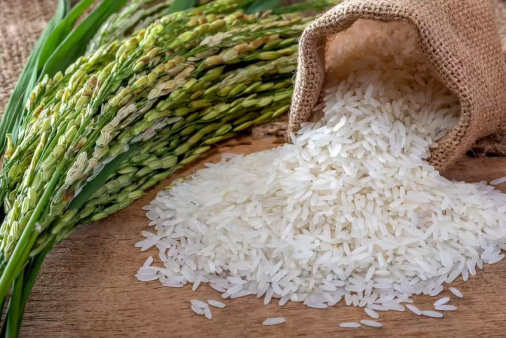 Untitled design (35)