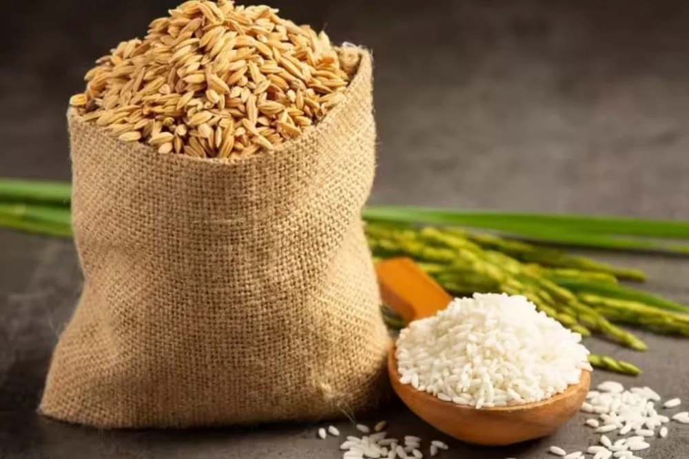 Untitled design (37)